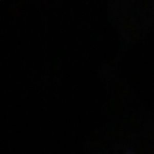 Meet your Posher, Josie